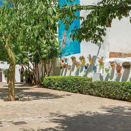 Hanami La Palma Estepona