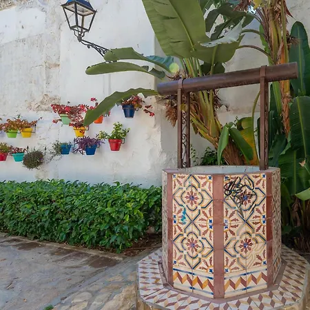 Hanami La Palma * 에스테포나